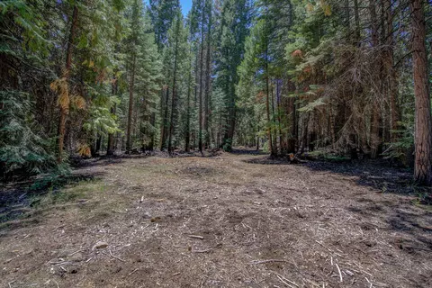 lot9 Emigrant Trl, Shingletown, CA 96088