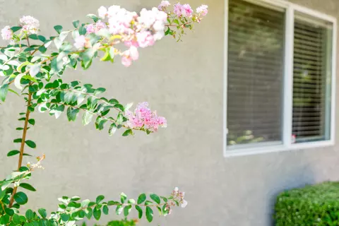 Exterior - 687 Yolla Bolly Trl, Redding, CA 96003 photo 8 of 16