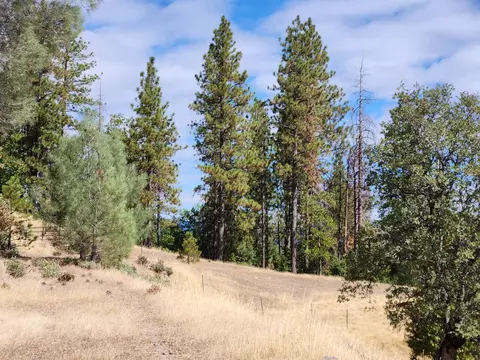32415 Dickerson Rd, Whitmore, CA 96096 photo 5
