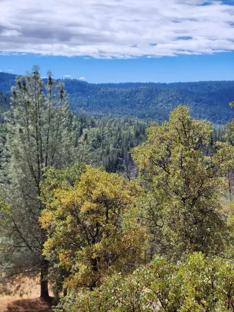 32415 Dickerson Rd, Whitmore, CA 96096 photo 46