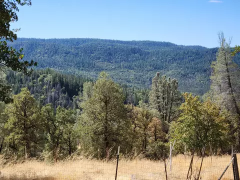 32415 Dickerson Rd, Whitmore, CA 96096 photo 42