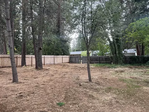 Exterior - 20174 Mapleleaf St, Burney, CA 96013 photo 6 of 7