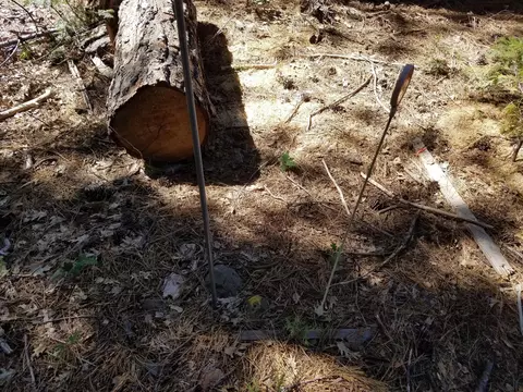 lot1 Eckert Ln, Shingletown, CA 96088 photo 18