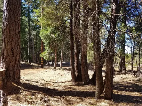 lot1 Eckert Ln, Shingletown, CA 96088 photo 2