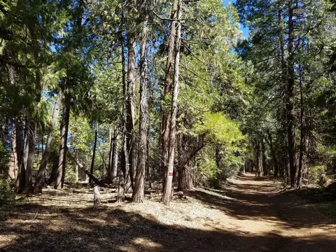 lot1 Eckert Ln, Shingletown, CA 96088 photo 16