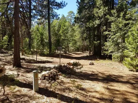 lot1 Eckert Ln, Shingletown, CA 96088 photo 5
