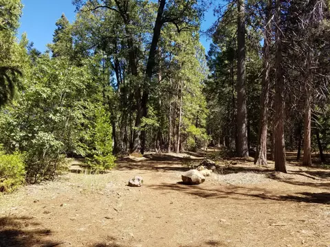 lot1 Eckert Ln, Shingletown, CA 96088 photo 9