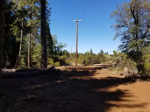 lot1 Eckert Ln, Shingletown, CA 96088 photo 6