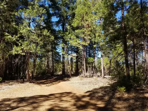 lot1 Eckert Ln, Shingletown, CA 96088 photo 11
