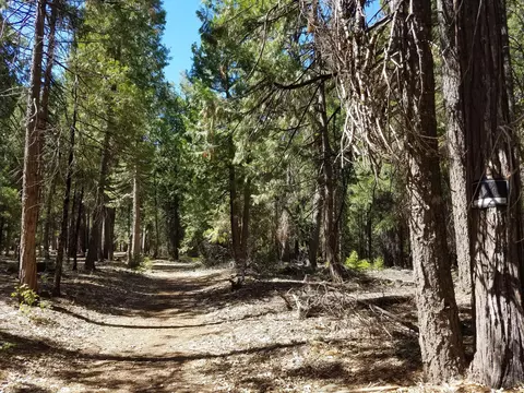 lot1 Eckert Ln, Shingletown, CA 96088 photo 12