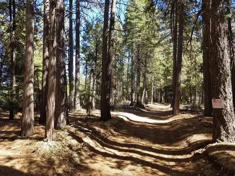 lot1 Eckert Ln, Shingletown, CA 96088 photo 3