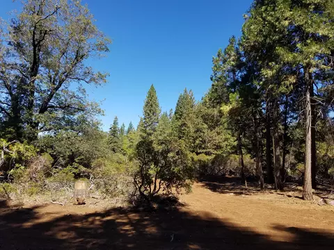 lot1 Eckert Ln, Shingletown, CA 96088 photo 10