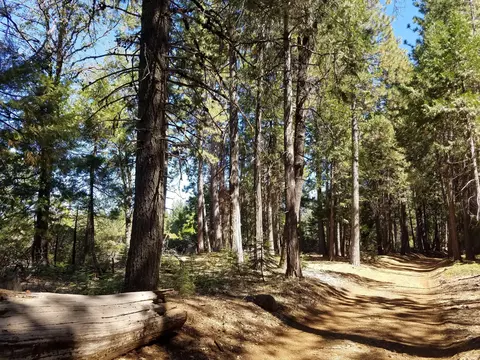 lot1 Eckert Ln, Shingletown, CA 96088 photo 14