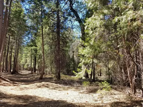 lot1 Eckert Ln, Shingletown, CA 96088 photo 8