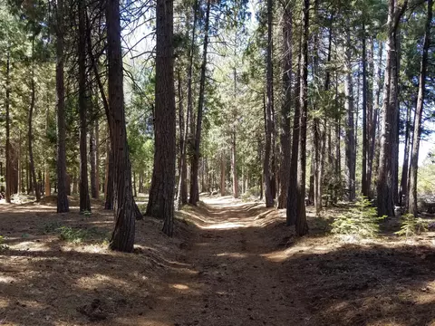 lot1 Eckert Ln, Shingletown, CA 96088