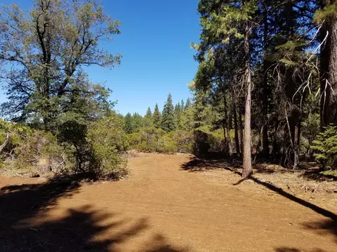 lot1 Eckert Ln, Shingletown, CA 96088 photo 4