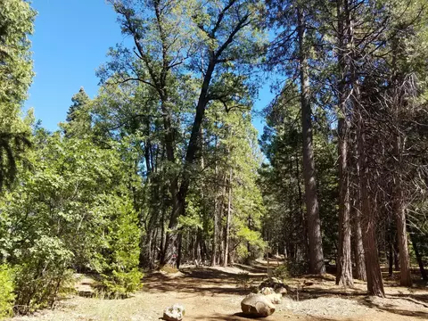 lot1 Eckert Ln, Shingletown, CA 96088 photo 13