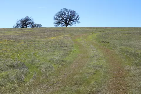 lot40 Del Mar Dr, Cottonwood, CA 96022
