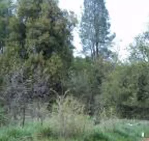 Black Canyon Avenue, Shasta Lake, CA 96018