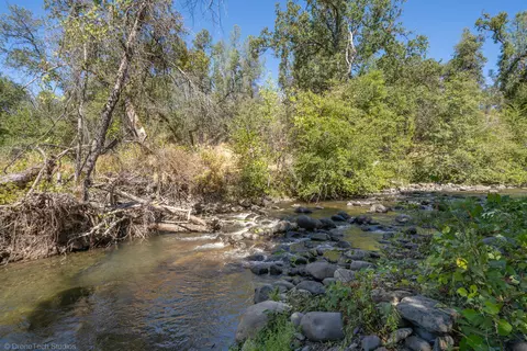 View/Area - 28832 Whitmore Rd, Whitmore, CA 96096 photo 3 of 13