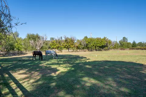 Other - 9411 Brandy Ln, Redding, CA 96003 photo 1 of 37