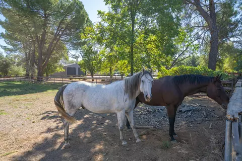 Other - 9411 Brandy Ln, Redding, CA 96003 photo 11 of 37