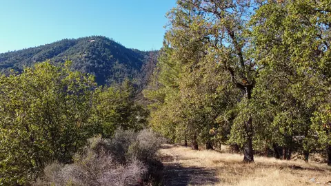 140 Lockhart Ranch Rd, Lewiston, CA 96052 photo 7