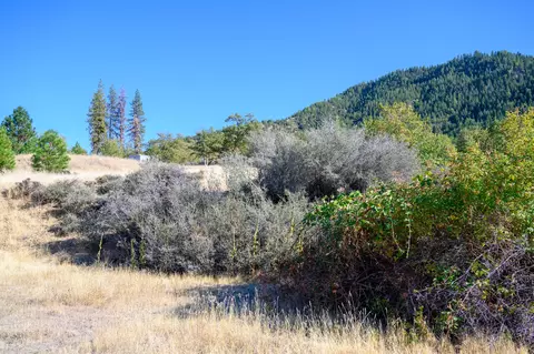 140 Lockhart Ranch Rd, Lewiston, CA 96052 photo 5