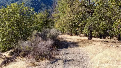 140 Lockhart Ranch Rd, Lewiston, CA 96052 photo 3