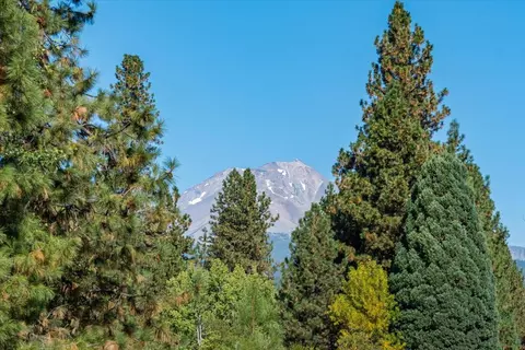 Other - 233 Squaw Valley Rd, Mccloud, CA 96057 photo 14 of 16