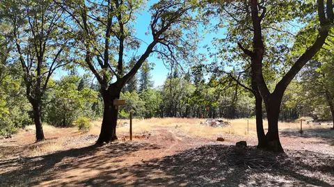 29297 Johnson Ranch Rd, Round Mountain, CA 96084 photo 42