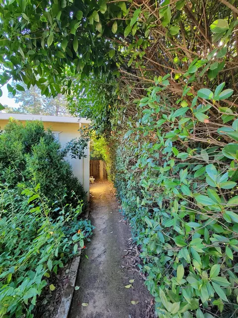 Exterior - 1893 Lindeena Ln, Redding, CA 96002 photo 9 of 9