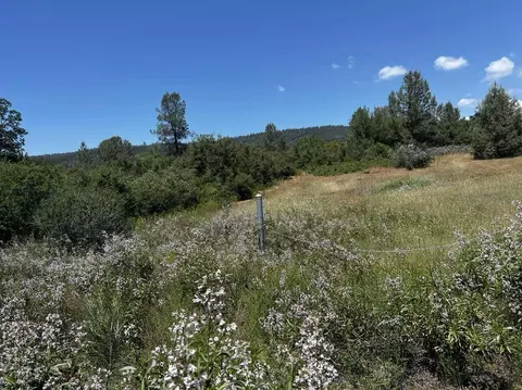 000 Battle View Dr, Manton, CA 96059 photo 10
