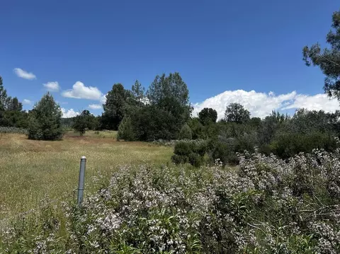 000 Battle View Dr, Manton, CA 96059 photo 9