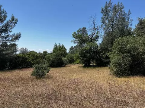 000 Battle View Dr, Manton, CA 96059 photo 3