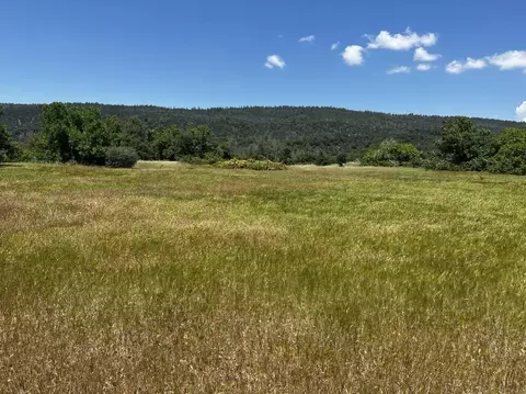 000 Battle View Dr, Manton, CA 96059 photo 11