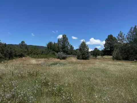 000 Battle View Dr, Manton, CA 96059 photo 7