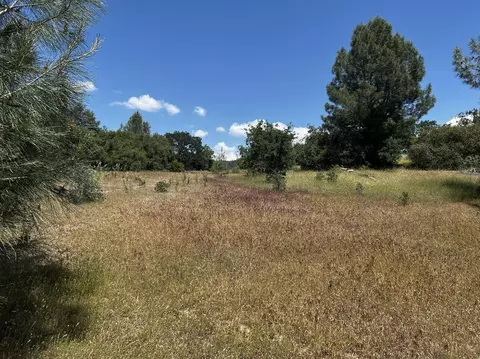 000 Battle View Dr, Manton, CA 96059 photo 5