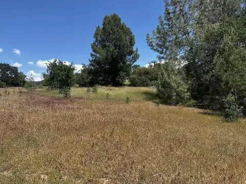 000 Battle View Dr, Manton, CA 96059 photo 4