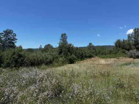 000 Battle View Dr, Manton, CA 96059 photo 8