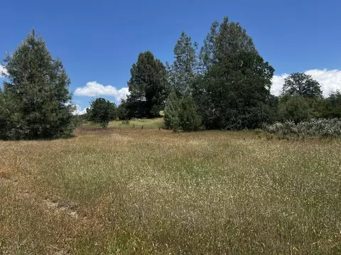 000 Battle View Dr, Manton, CA 96059 photo 6