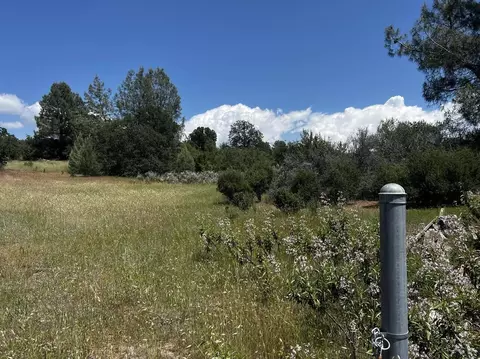 000 Battle View Dr, Manton, CA 96059 photo 13