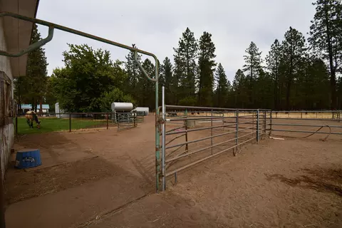 44991 State Highway 299e, Mcarthur, CA 96056 photo 41