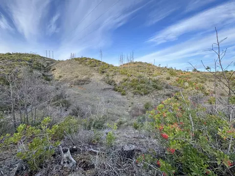 15314 Ruggles Rd, Shasta, CA 96087 photo 22