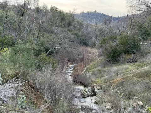15314 Ruggles Rd, Shasta, CA 96087 photo 9