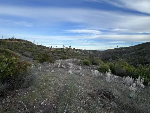 15314 Ruggles Rd, Shasta, CA 96087 photo 25