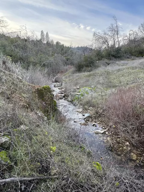 15314 Ruggles Rd, Shasta, CA 96087 photo 10