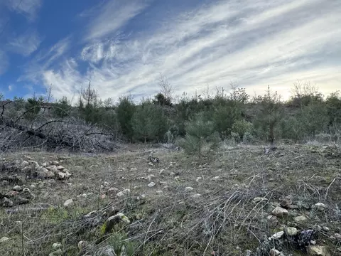 15314 Ruggles Rd, Shasta, CA 96087 photo 23