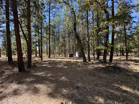 29360 Day Rd, Mcarthur, CA 96056 photo 25