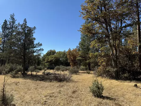 29360 Day Rd, Mcarthur, CA 96056 photo 16